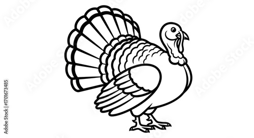 Black and white illustration of a turkey standing on a white background.