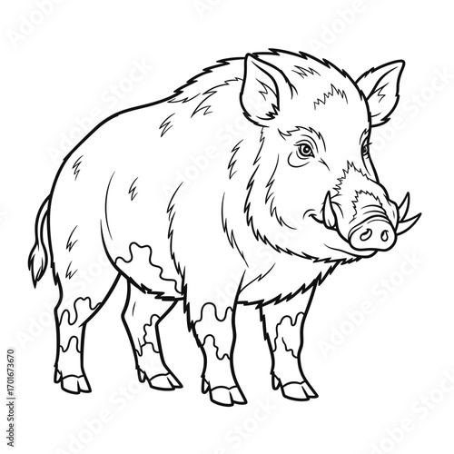 Line drawing of a wild boar standing isolated on a white background.