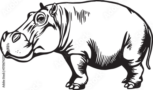 Illustration of a behemoth. Hand drawn vector illustration