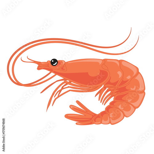 Cartoon shrimp illustration in bright red color isolated on white Great for seafood culinary design educational use fishing concepts ocean themes and healthy food projects