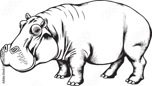Illustration of a behemoth. Hand drawn vector illustration