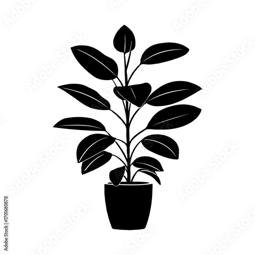 Silhouette of a leafy potted plant Rubber with broad leaves in a minimalist graphic style on white background, concept of home decor and nature