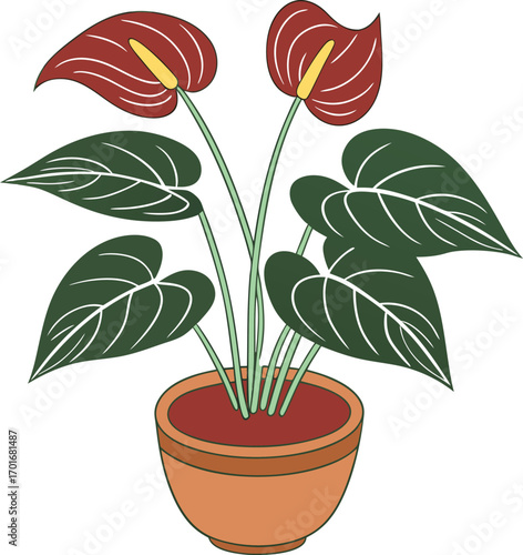 Vector art of a potted anthurium plant with large green leaves and two red spathes