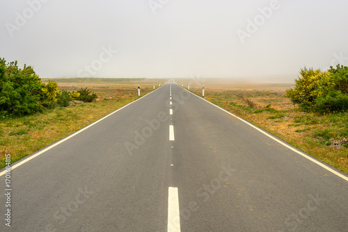 A road leads straight ahead into the next village on the island of Madeira
