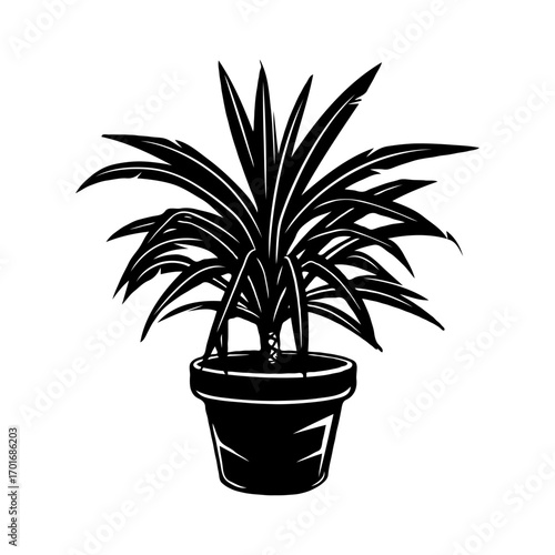 Black and white illustration of potted tropical plant Spider with spiky leaves on white.
