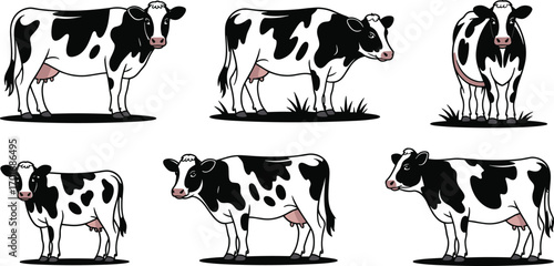 Dairy Cow Illustrations: A Set of Black and White Holstein Cattle in Various Poses for Farming, Milk, and Agricultural Designs

.