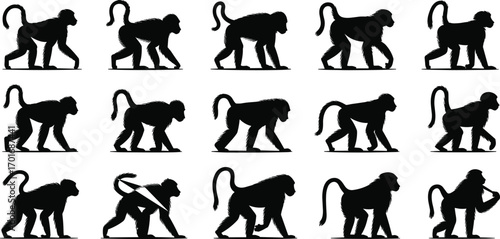 Monkey and Baboon Silhouettes: A Detailed Vector Collection of Primate Animals in Various Poses for Design and Wildlife Projects

.
