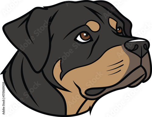 Vector art of closeup illustration of a rottweiler dogs head with brown and black markings, isolated on a