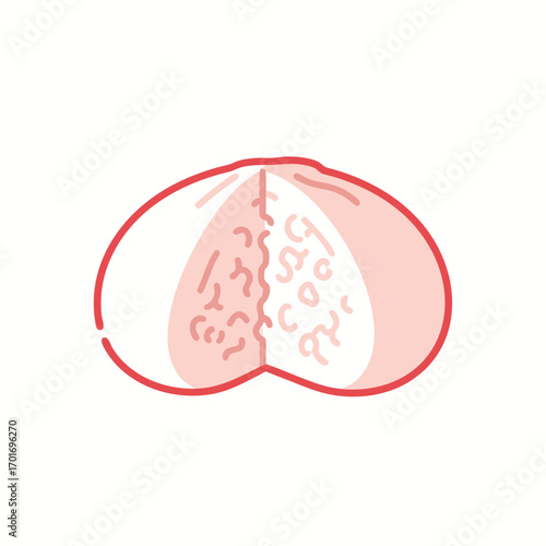 A detailed illustration of a brain with a red outline on a white background showing its hemispheres and blood vessels in a medical or educational context for