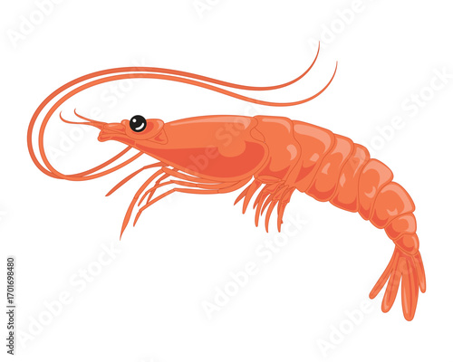 Cute cartoon shrimp illustration isolated on white background, suitable for seafood restaurant branding, ocean life design, culinary graphics, menu decoration, and posters.
