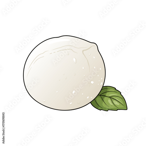 A delicious ball of mozzarella cheese with a fresh green basil leaf on a clean white background for culinary and nutrition concepts.