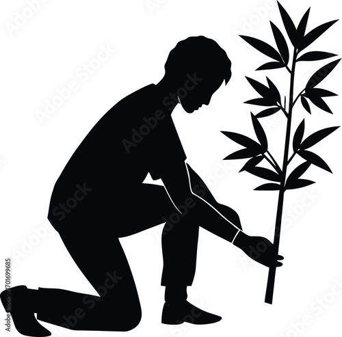Silhouette of a person planting a young tree sapling in the ground on white background