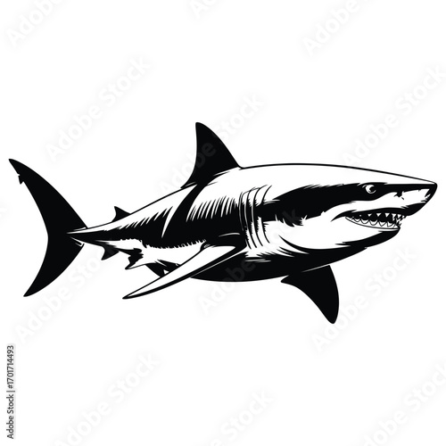 great white shark