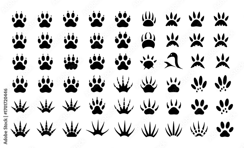Obraz premium Diverse Collection of Animal Paw Prints and Footprints