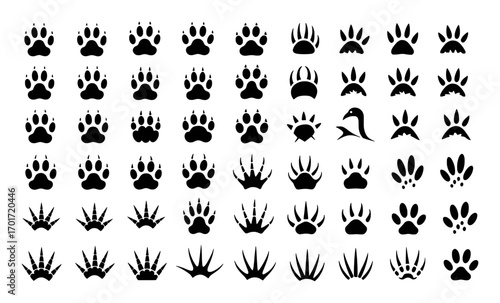 Diverse Collection of Animal Paw Prints and Footprints