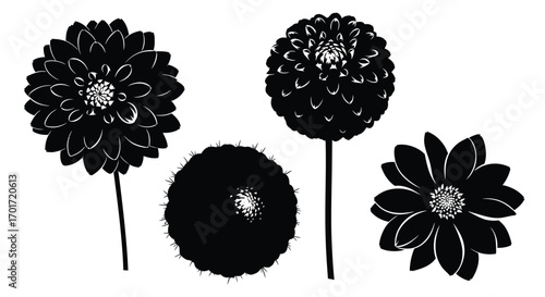 Black silhouette floral collection decorative elements for artistic design and craft projects vector