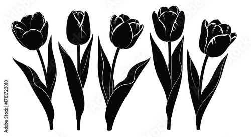 Set of five black tulip silhouettes with stems and leaves against a vector