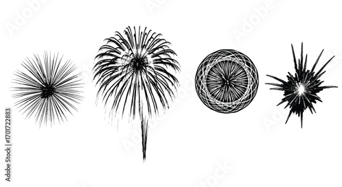 Collection of four distinct hand-drawn fireworks exploding in the night sky above vector