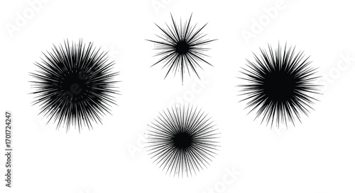 Four abstract black spheres with spiky outward radiating elements on white vector