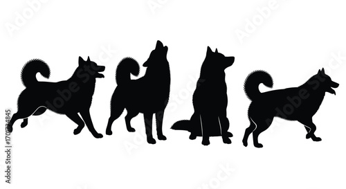 Dynamic silhouette series of four husky dogs in various poses and actions vector
