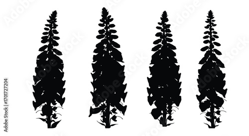 Four silhouette pine trees realistic rendering top view detailed natural forest elements for design vector