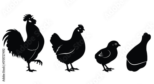 Farm animal silhouettes rooster hen chick and chicken silhouette collection vector