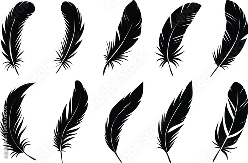 Elegant black feather silhouettes arranged on a white background for artistic design elements 

