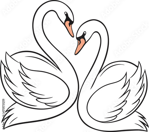 Elegant vector art of two swans gracefully forming a heart shape