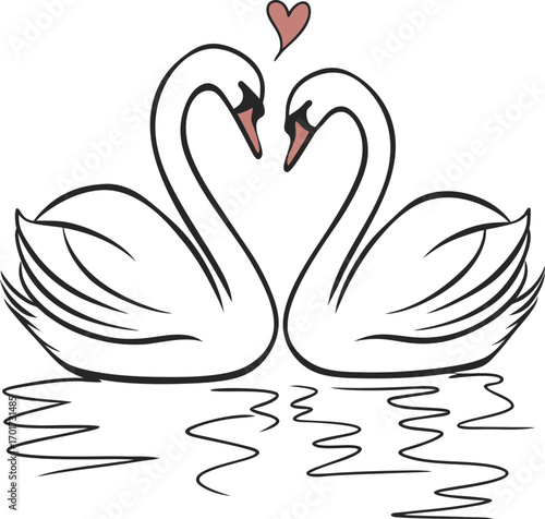 Elegant vector art of two swans gracefully forming a heart shape