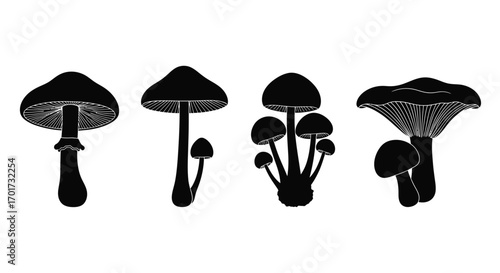 Collection of dark silhouettes of diverse mushroom varieties isolated on vector