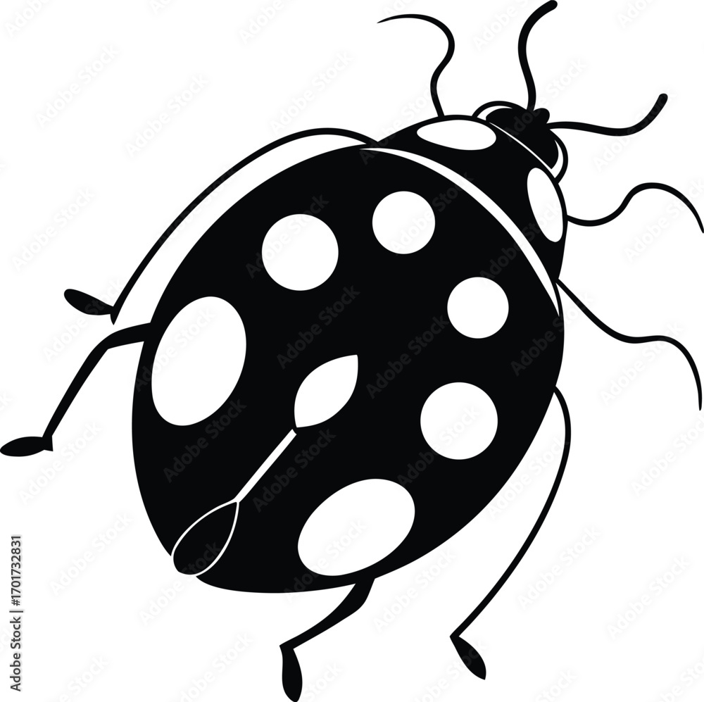 Obraz premium ladybird vector illustration