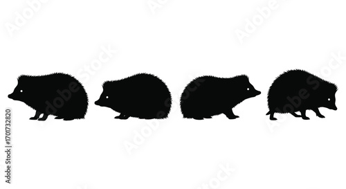 Four silhouette hedgehogs walking in a row animal wildlife nature creatures cute mammals vector