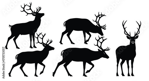 Majestic stag silhouettes collection wild forest wildlife animal herd gathering vector