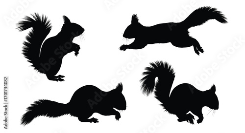 Four dynamic black silhouettes of squirrels in various poses showing movement and agility vector