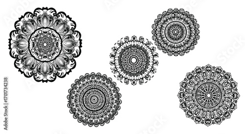 Intricate black and white mandala designs floral circular patterns for decorative applications vector