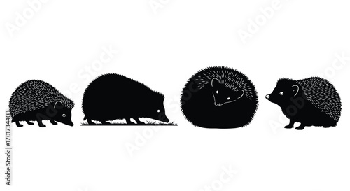 Four silhouettes of hedgehogs in different poses showing their spiky texture and form vector