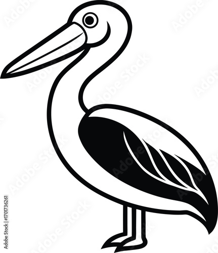 vector illustration of a pelican