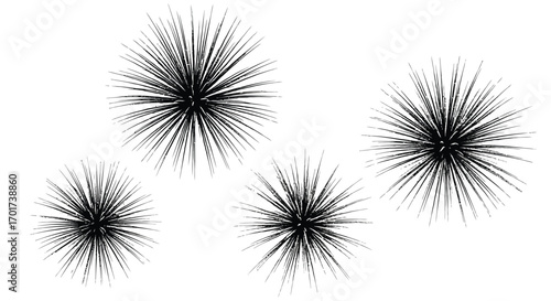 Four abstract black whisk brushes textures grunge splatter ink effect isolated vector