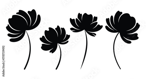 Elegant black silhouette flowers with delicate stems botanical artistic design element vector