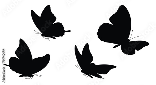 Four silhouette butterflies in flight dynamic fluttering movement against white space vector