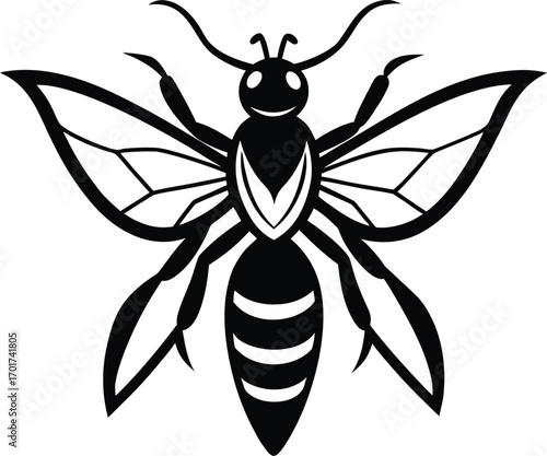 vector illustration of a black beetle
