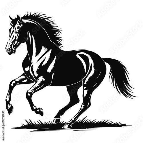 horse silhouette vector