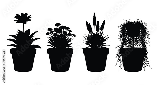 Silhouette set of four potted houseplants diverse flora in decorative pots vector