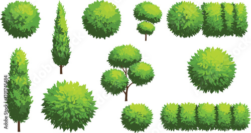Tree, bush, hedge, garden plant, park greenery, foliage, nature icon, landscape element, outdoor vegetation, arbor design, cad drawing flat vector illustration