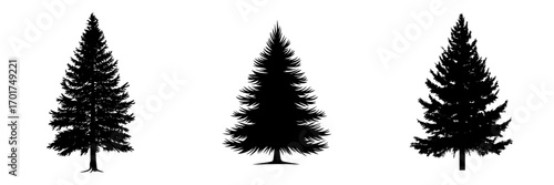 A simple yet powerful silhouette of a towering evergreen tree, standing strong and resilient against a blank canvas, symbolizes strength, growth, and timeless beauty, embodied in the Evergreen