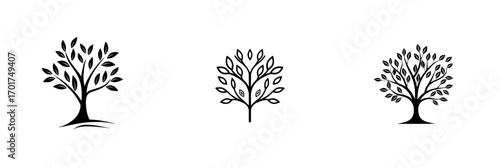 The Tree of Life is represented by a stylized silhouette of a majestic tree with branches that stretch upwards towards the sky, embodying growth, resilience, and the interconnectedness of life