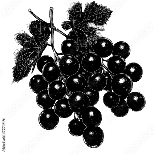 The Grape Silhouette Icon features a simple yet elegant design of a grape cluster accompanied by a leaf, ideal for symbolizing wine, fruit, or a healthy diet