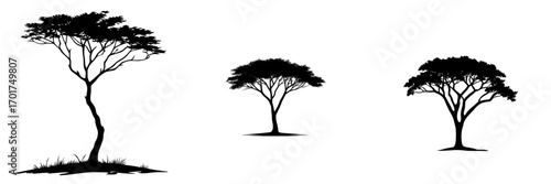 The silhouette of a tree, characterized by its simplicity and elegance, stands tall with expansive branches set against a minimalist background, conveying a sense of strength and resilience