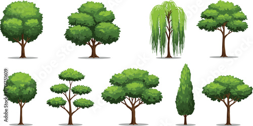 Different tree types, botanical plant species, nature foliage collection, landscape greenery, forest vegetation, garden plants, seasonal trees, eco environment, CAD drawing flat vector illustration