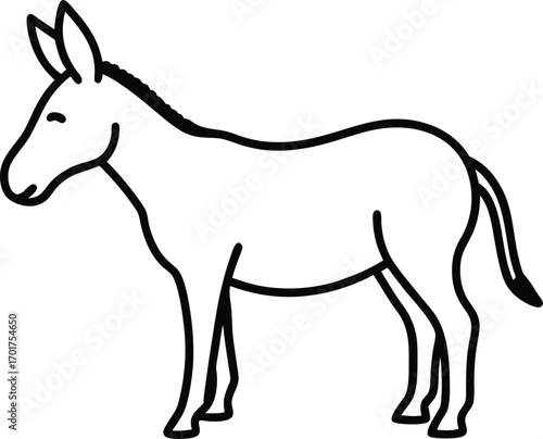 donkey isolated on white background
